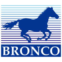 bronco-1000x1000