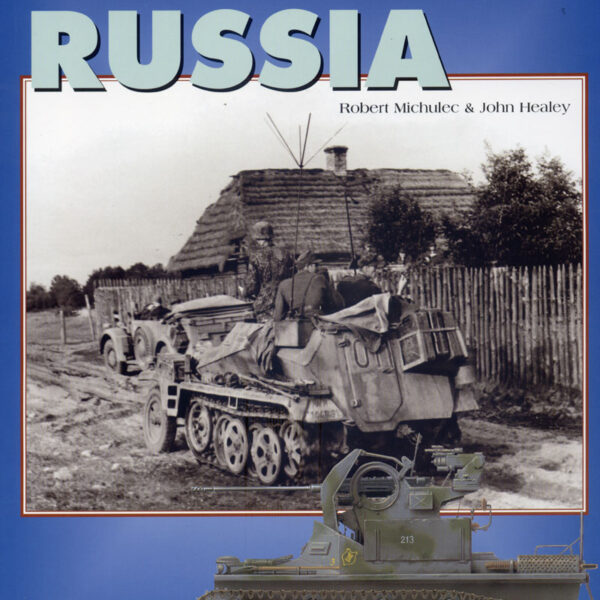 Panzer-Division in Russia