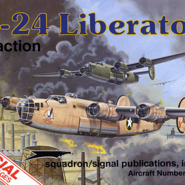 sq1080 B-24 Liberator in action