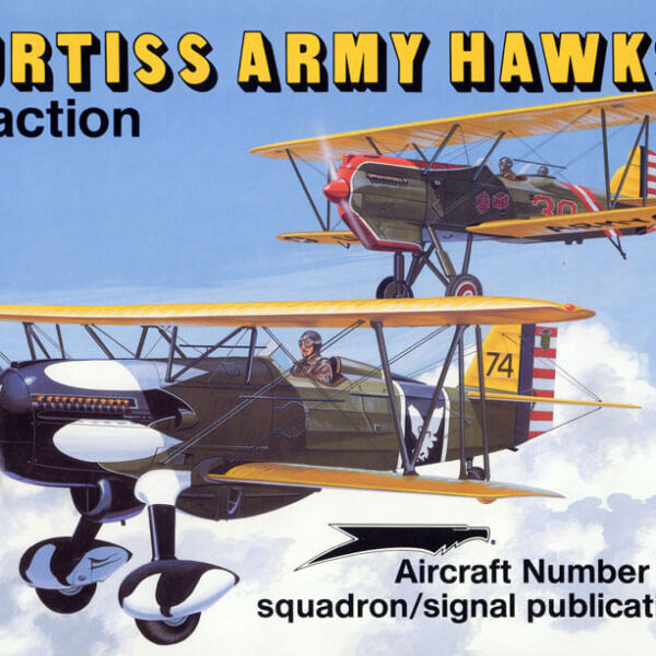 sq1128 Curtiss Army Hawks in action