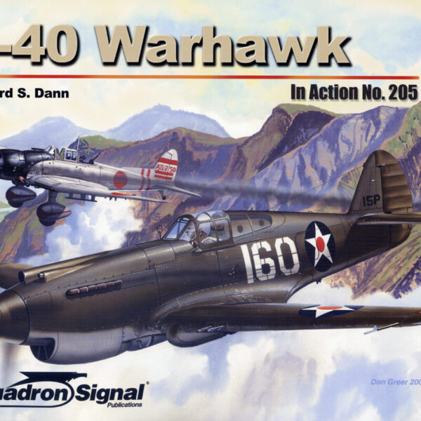 sq1205 P-40 Warhawk In action