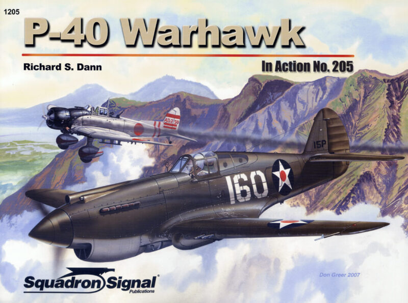 sq1205 P-40 Warhawk In action