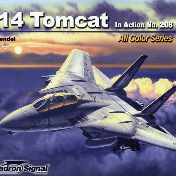 sq1206 F-14 Tomcat In action