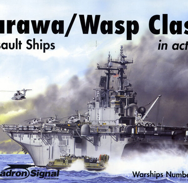 Tarawa-Wasp Class assault ships in action