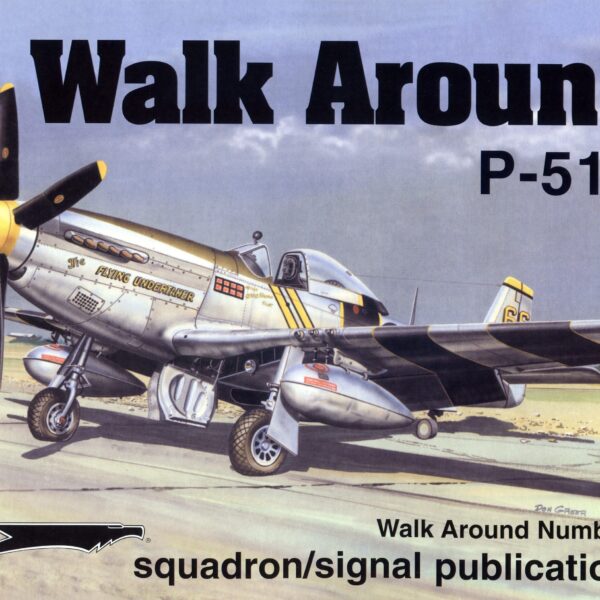 sq5507 Walk Arround: P-51D Mustang