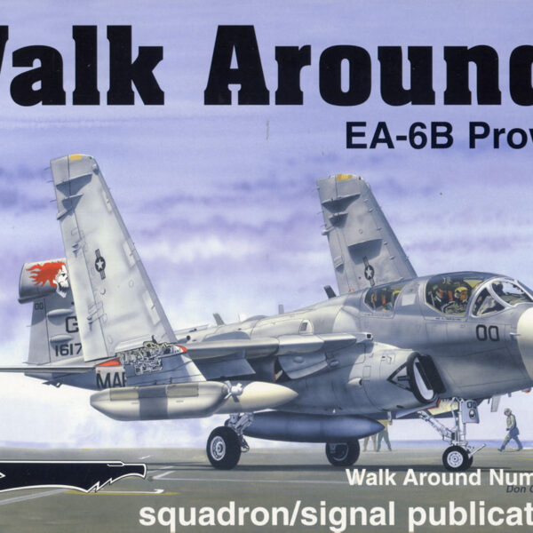 Walk Arround: EA-6B Prowler