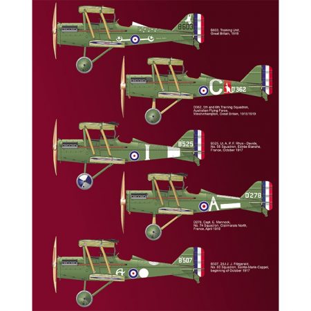 eduard r0015 SE.5a Dual Combo Royal Class Kit en plástico para montar y pintar de la serie edición limitada Royal Class de Eduard.