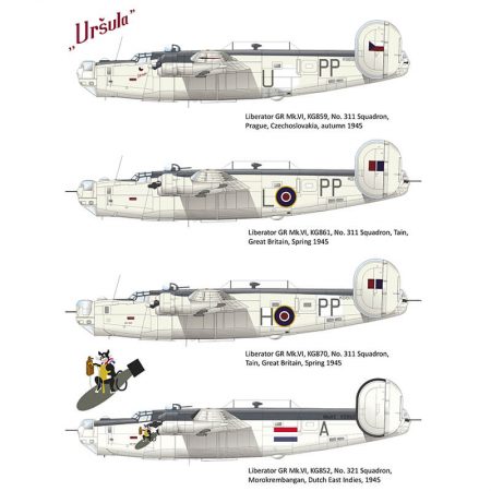 eduard 2123 Riders in the Sky 1945 1/72 Limited Edition Liberator GR Mk.VI and GR Mk.VIII in the RAF Coastal Command service Kit en plástico para montar y pintar en edición limitada de Eduard.