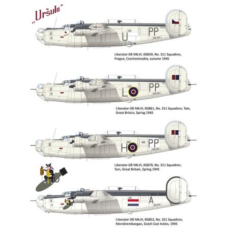 eduard 2123 Riders in the Sky 1945 1/72 Limited Edition Liberator GR Mk.VI and GR Mk.VIII in the RAF Coastal Command service Kit en plástico para montar y pintar en edición limitada de Eduard.