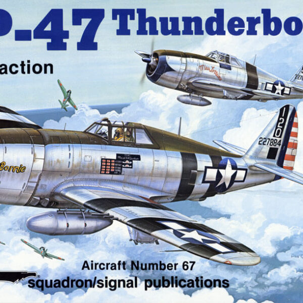 1067 P-47 Thunderbolt in action